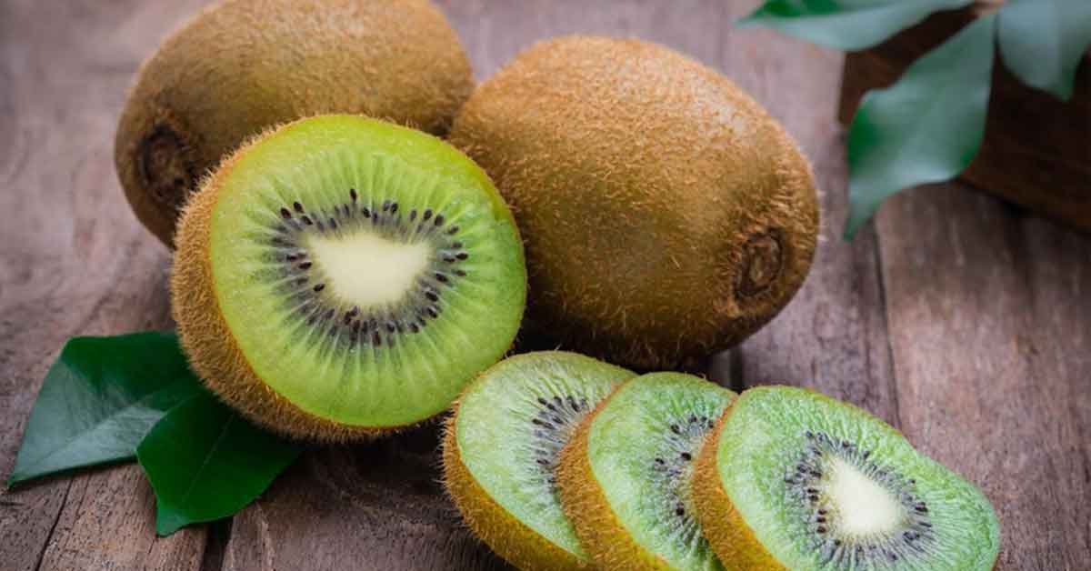 Kiwi Cocok Untuk Bahan Sorbet