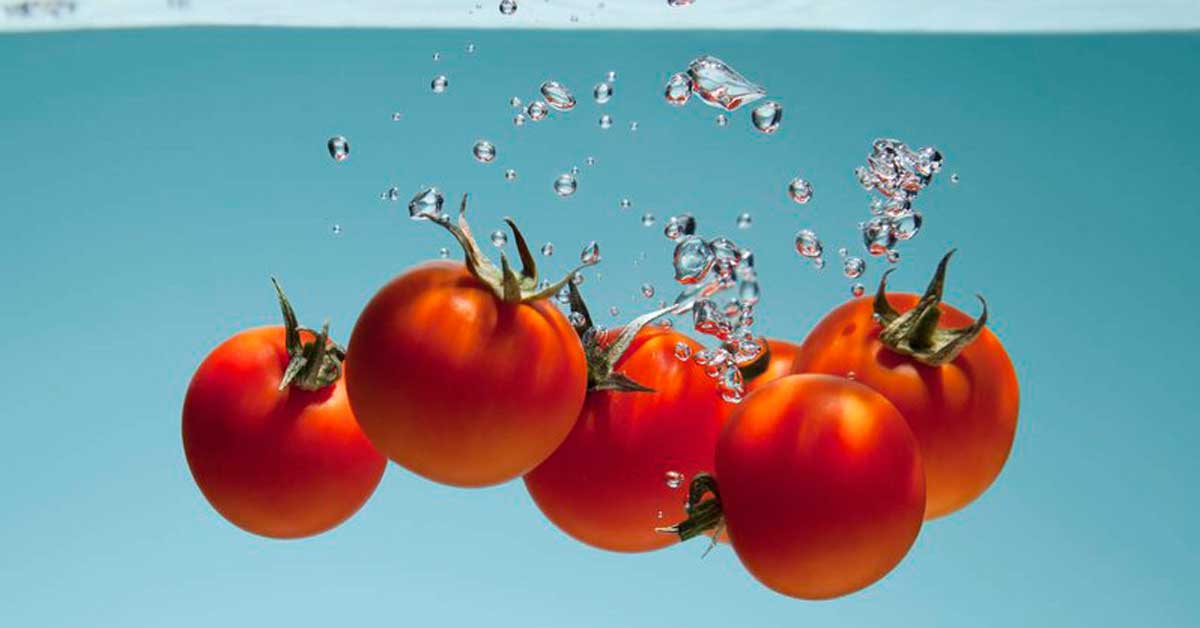 Tomat Mengandung Banyak Air