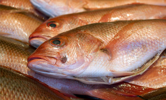5 Tips Untuk Memilih Ikan & Daging Yang Segar