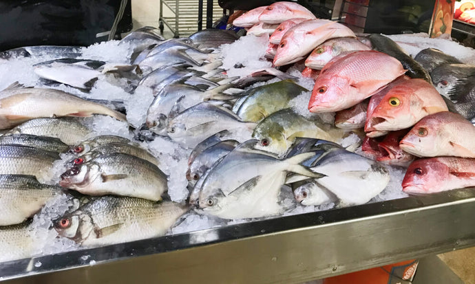 Pilihan Ikan Yang Cocok Dengan Aneka Masakan